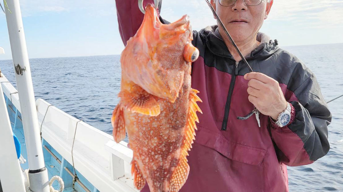 釣りの様子